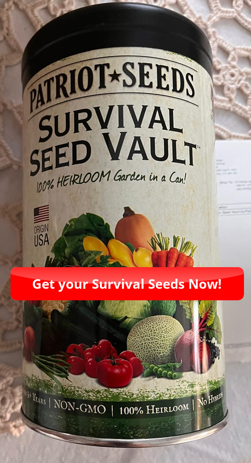 Product Review: Survival Seed Vault + Genesis Code by Teddy Daniels