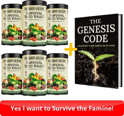 Genesis Code Survival Seed Vault by Teddy Daniels: Honest Review and Practical Insights